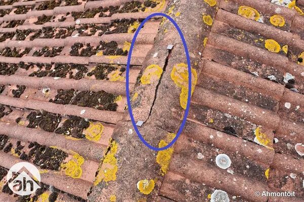 Le toit : votre première ligne de défense