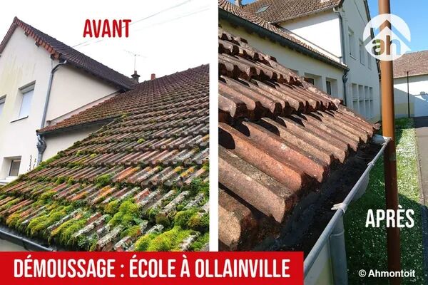 Ollainville : demoussage dans une ecole